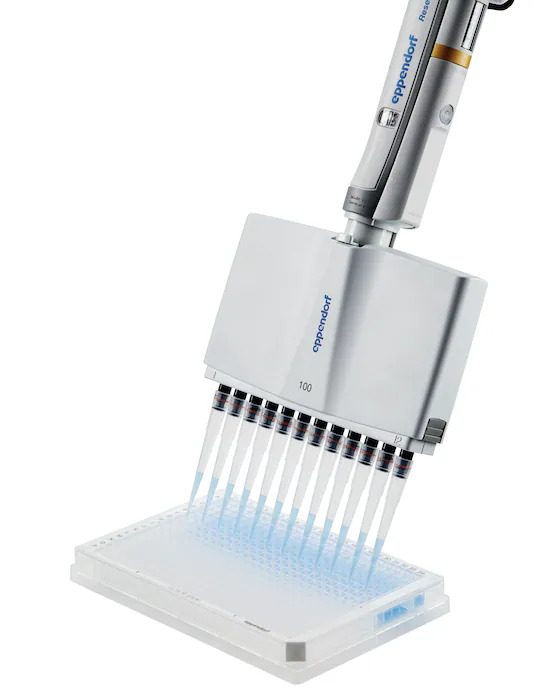 Eppendorf_Liquid-Handling_Research-plus-12-channel-pipette-epTIPS-384_Research-plus-12-channel-pipet